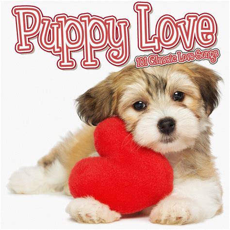 puppy love song created by 🌝. 9K videos. Watch the latest videos about puppy love on TikTok.